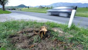 Aufräumarbeiten VU Mooswirt der FF Abtenau