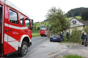 Aufräumarbeiten VU Mooswirt der FF Abtenau