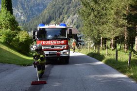 FF Abtenau