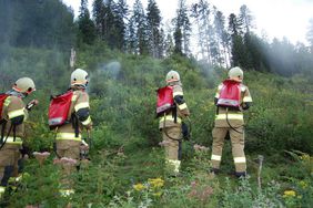 Waldbrandübung Freiwillige Feuerwehr Abtenau und Kuchl