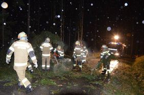 Aufräumarbeiten der Freiwilligen Feuerwehr Abtenau nach Sturm