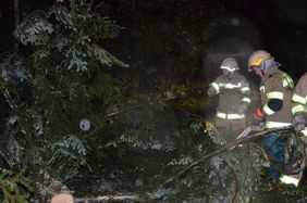 Aufräumarbeiten der Freiwilligen Feuerwehr Abtenau nach Sturm