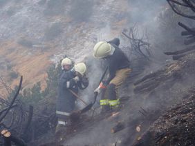 Löscharbeiten der Feuerwehr Abtenau