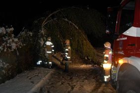 Aufräumarbeiten der FF Abtenau nach Schneefall
