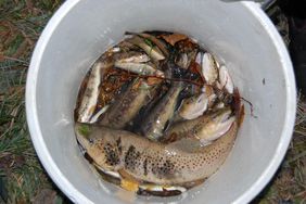 FF Abtenau - Einsatz VU mit Treibstoffaustritt